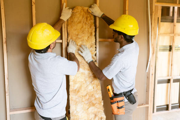 Best Blown-in Insulation  in Ashville, AL